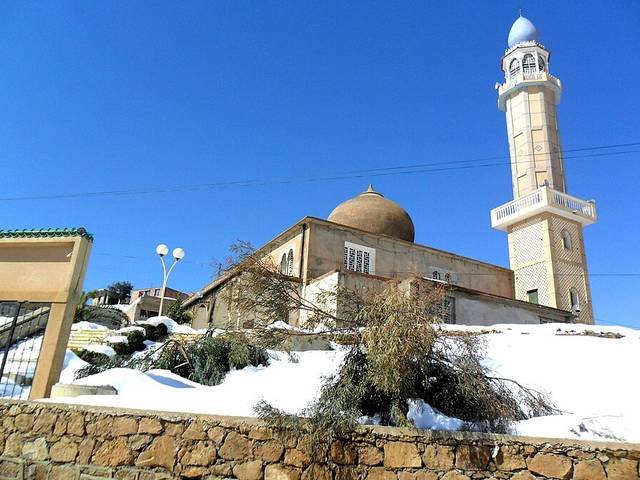 Ingredients and preparation for arayes