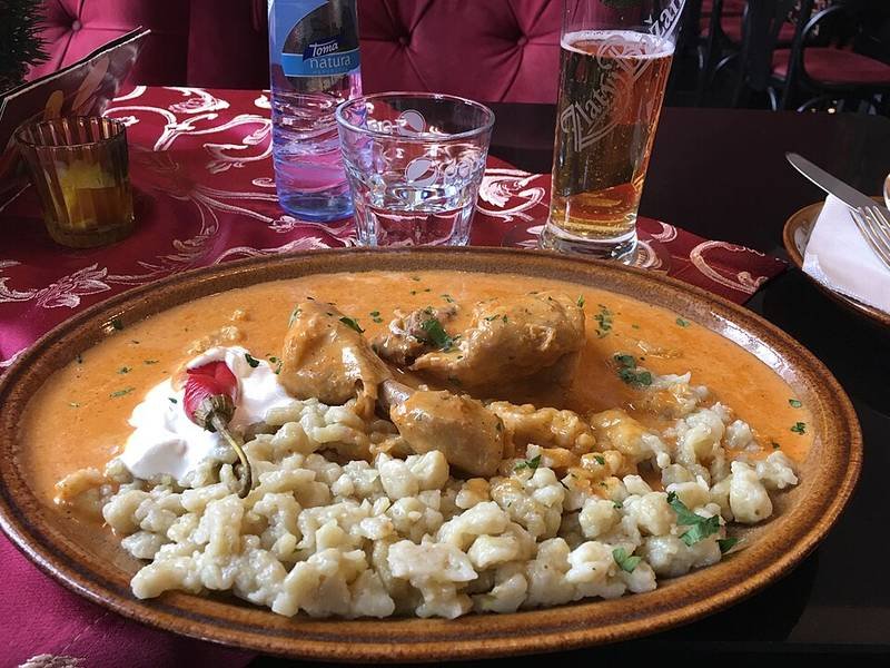 Chicken Paprikash — Hungarian dinner recipe, served and ready to eat