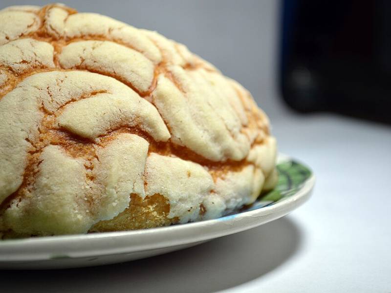 Conchas