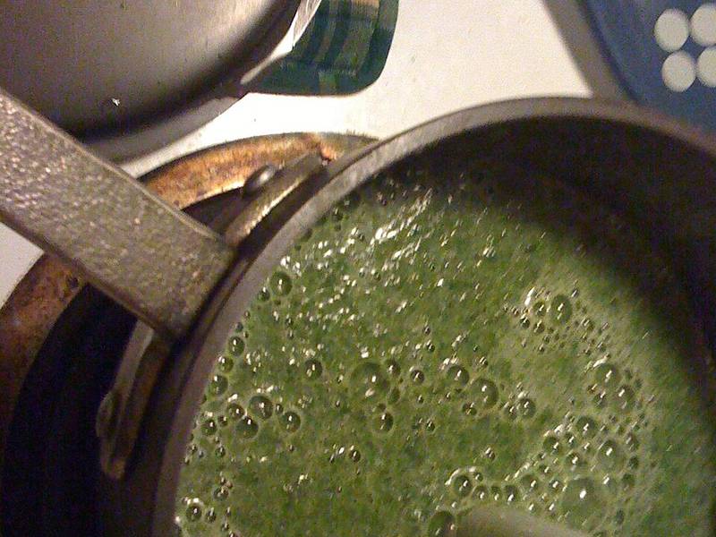 Creamy Spinach Soup