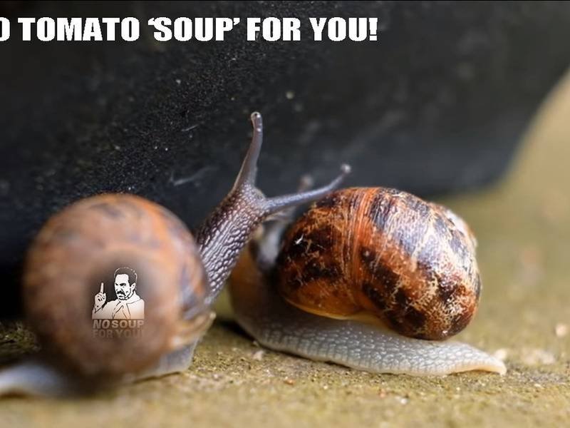 Creamy Tomato Soup — American healthy recipe, served and ready to eat