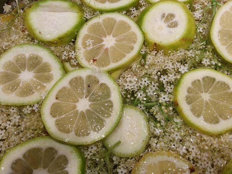 Elderflower Cordial