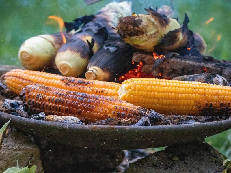Grilled Corn Salad