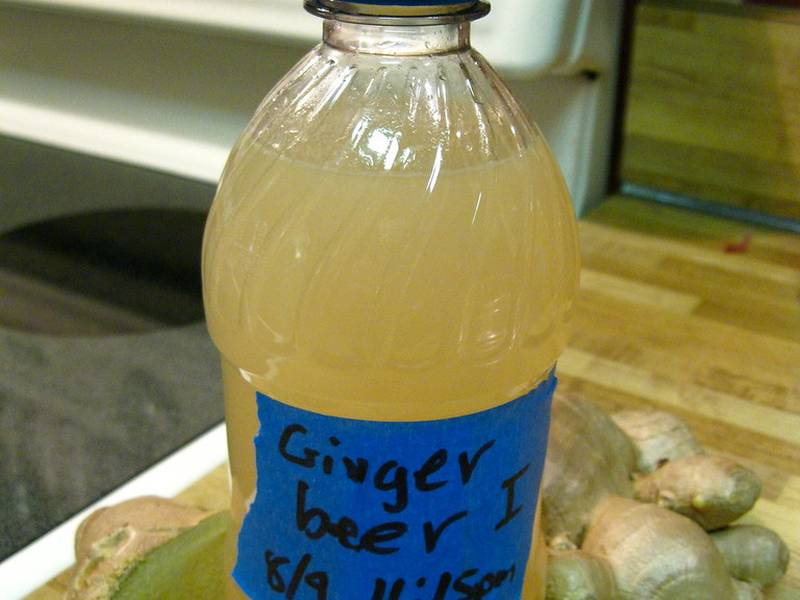 Homemade Ginger Beer