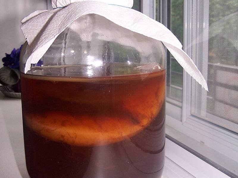 Kombucha — International drinks recipe, served and ready to eat