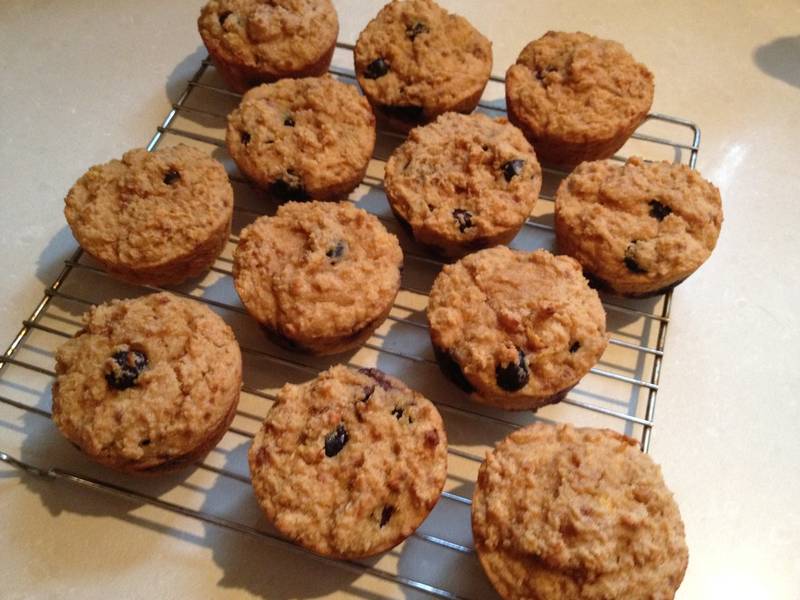 Protein Muffins