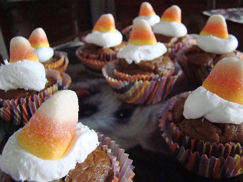 Pumpkin Cupcakes