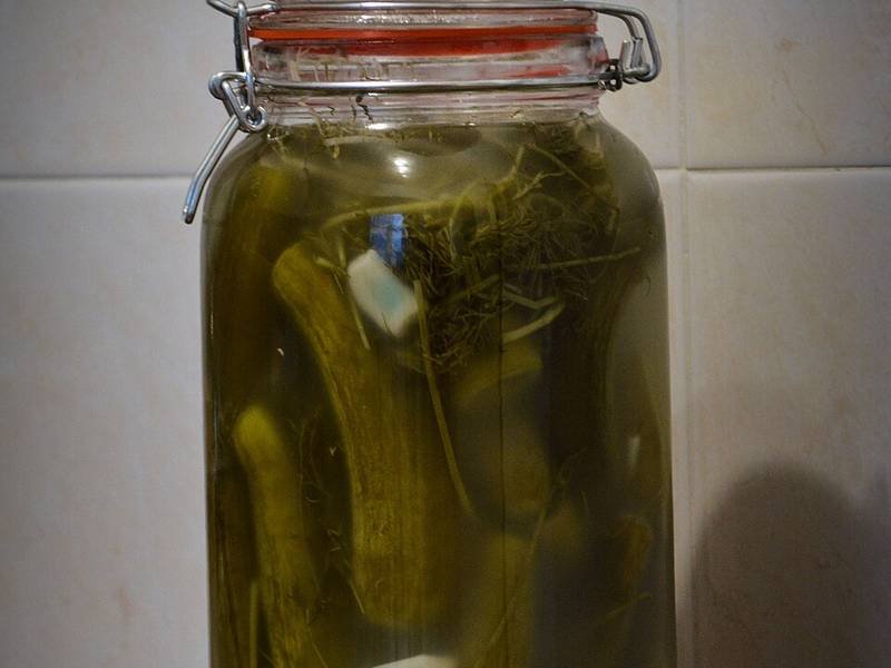 Quick Refrigerator Pickles — American appetizers recipe, served and ready to eat