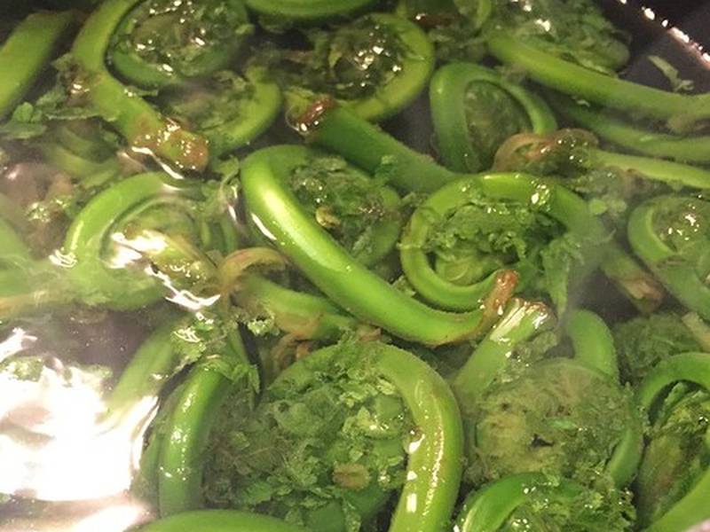 Sautéed Fiddleheads